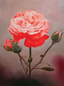 Троянда-5, 2013