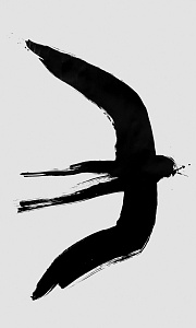 Ластівка, 2019