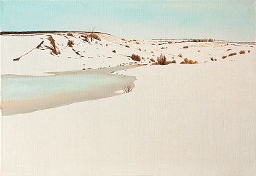 «Зима в степу», 2012