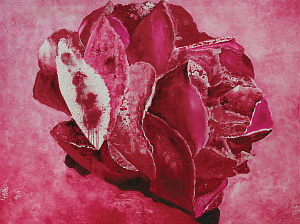 Червона квітка, 2019