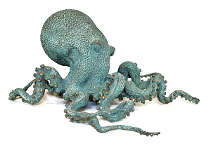 «Морський мисливець», 2018