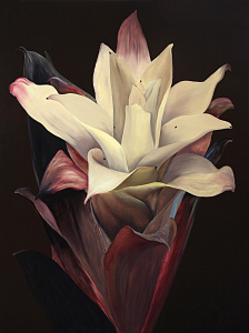 Нічна квітка-2, 2013