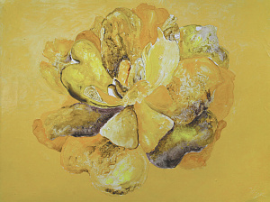 Жовта квітка, 2019