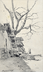 «Алупка», 1895