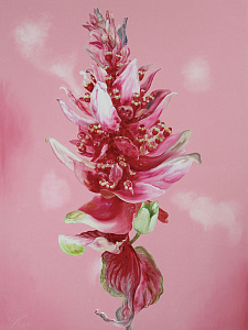 Рожева квітка, 2012