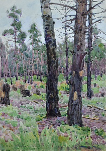 «Костянтинівка», 1923