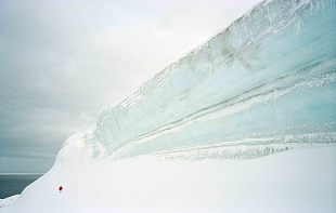 «Антарктида», 2005