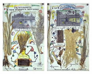 Диптих “Рослинність та торф верхнього та низинного типу боліт”, 1995