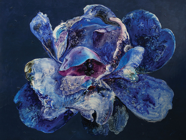Синий цветок, 2019
