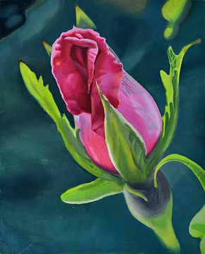 «Троянда» із серії «Хабарики», 2014-2015