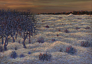 «Безмежнеє поле», 1988